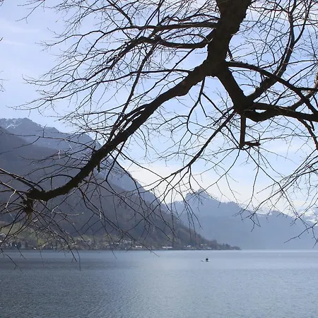 Walk * Gmunden
