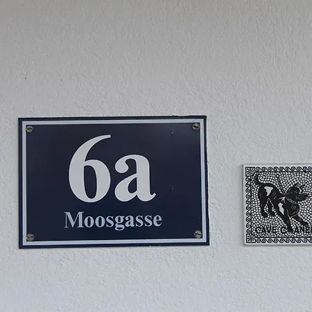 Walk Apartment Gmunden